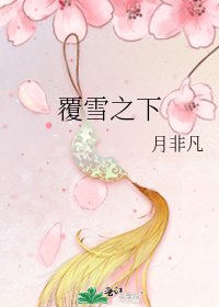 《覆雪之下》